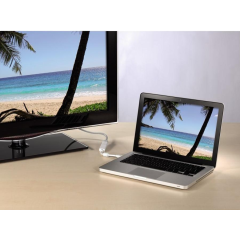 Переходник DPmini вилка - DVI-D розетка Hama 053248