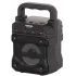 Акустика портативная Telefunken TF-PS1235B