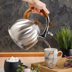 Чайник со свистком Daniks GS-04571/MSY-087, нерж., 3 л.