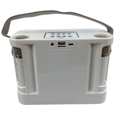 Караоке система DAIMAX YS-219