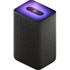 Умная колонка Яндекс.Станция 2 антрацит (*11)