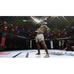 Игра PS4 UFC 4 (Русские субтитры)