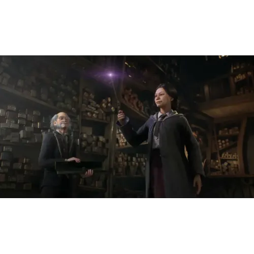 Игра PS5 Hogwarts Legacy (Русские субтитры)