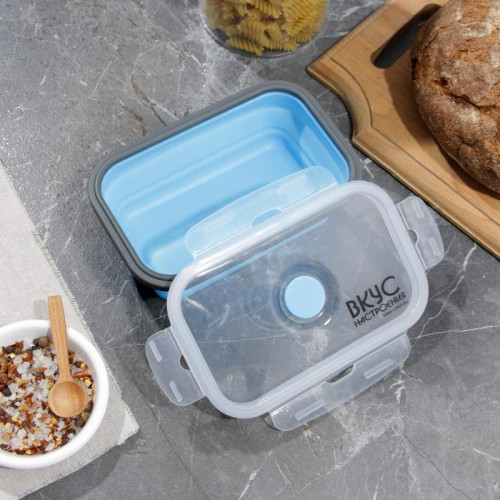 Контейнер (набор) FoodVibes «Апельсины», пластик, складной, 350, 500 мл., 2 шт.(6116619)