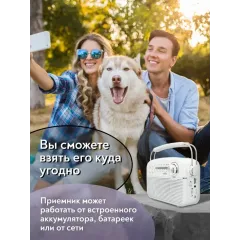 Радиоприемник MIRU SR-1024