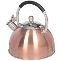 Чайник со свистком DANIKS MSY-072,  3 л (308676)