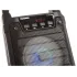 Акустика портативная Telefunken TF-PS1229B