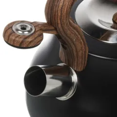 Чайник со свистком Daniks GS-04052B-1, индукция, черный антрацит, 2,8 л.(480200)