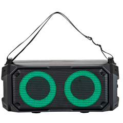 Акустика портативная URAL Молния 600  черный (*9)