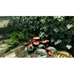 Игра PS4 The Elder Scrolls V: Skyrim. Anniversary Edition Русская версия