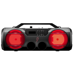 Акустика портативная URAL Молния 280 черный (*5)