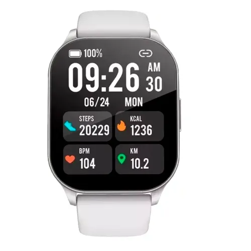 Смарт-часы WiWatch S2 Silver/серебро