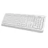 Клавиатура + Мышь A4 Fstyler FG1010 клав:белый/серый мышь:белый/серый USB Multimedia