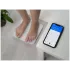Весы напольные электронные умные Picooc Basic (Bluetooth, 26х26 см)