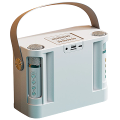 Караоке система DAIMAX YS-219