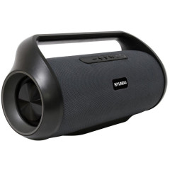 Акустика портативная Hyundai H-PAC420 серый/черный