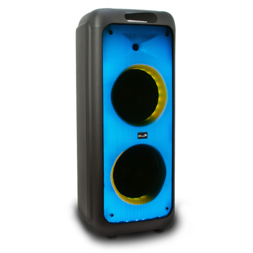 Акустика портативная ELTRONIC 20-03 WAVE 800