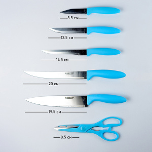 Набор ножей VITESSE VS-8130