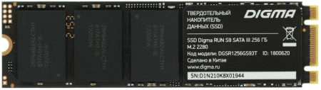 SSD М.2 256Gb Digma DGSR1256GS93T Run S9