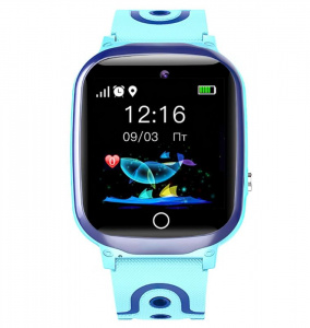 Смарт-часы Prolike PLSW13 голубой