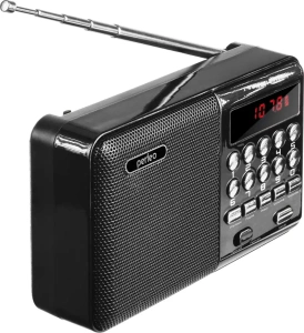 Радиоприемник PERFEO PF-A4870 PALM черный