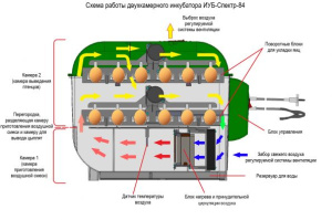 Инкубатор СПЕКТР 84 яйца 84