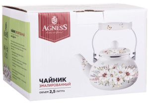 Чайник без свистка AGNESS 934-436 2,5л