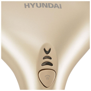Парогенератор Hyundai H-HS02695 золотистый